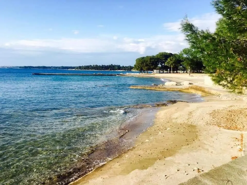 App Miranda Sun Umag